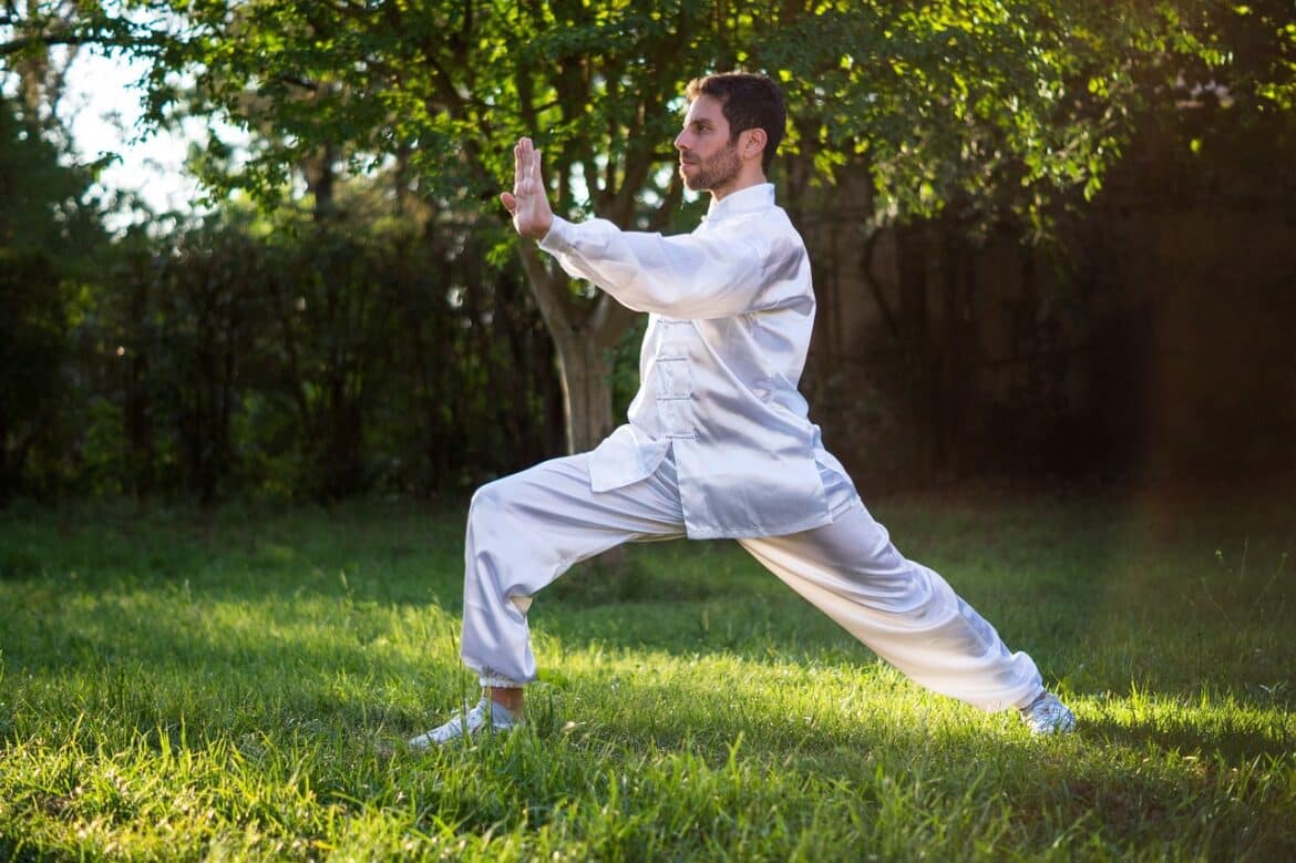 enlogar, tai chi, taiji