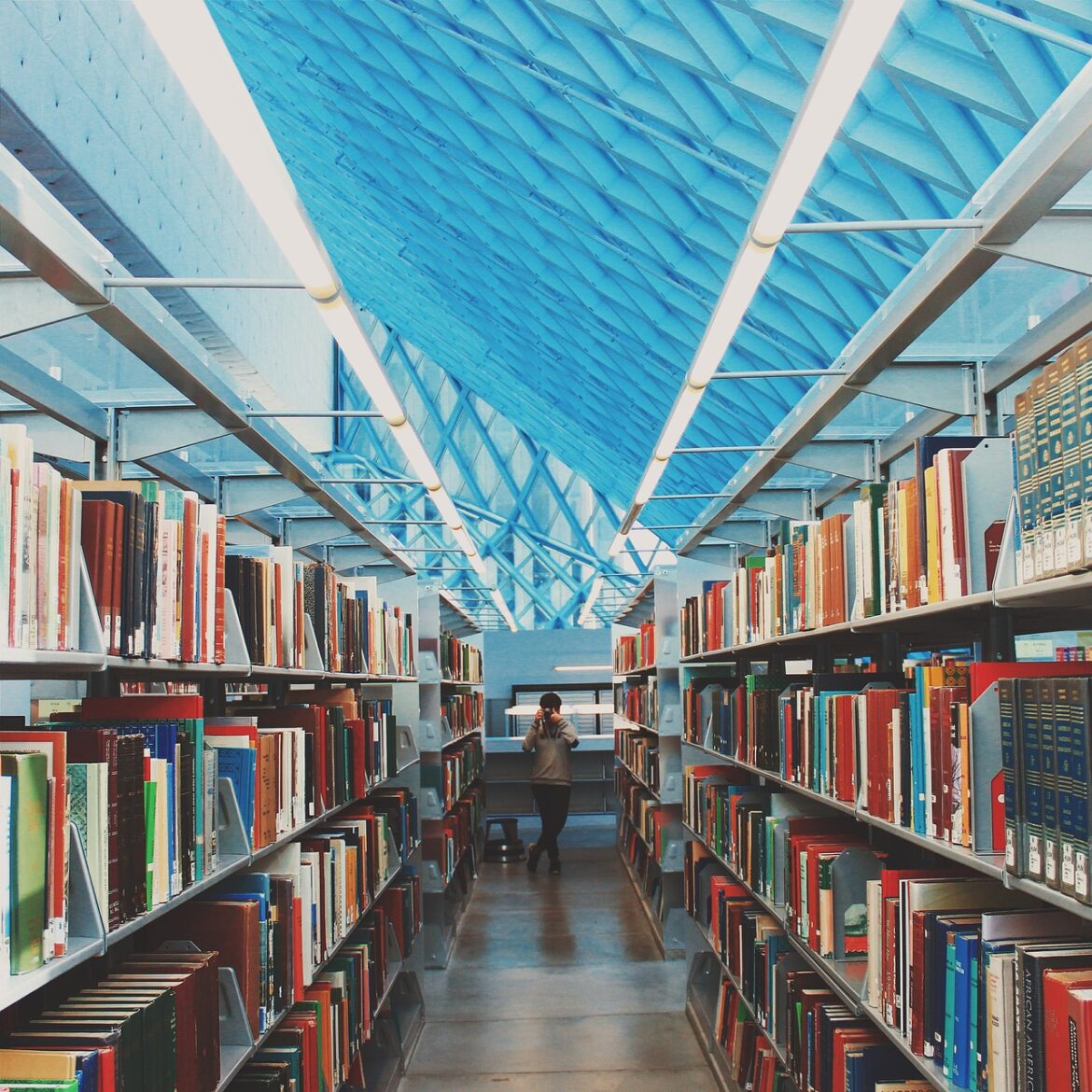 books, library, school, education, learning, study, library, library, library, library, library, school, school, learning