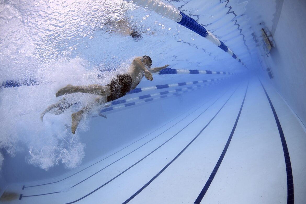 swimmers, swimming, pool, olympic pool, race, competition, water, lanes, sports, water sports, athletes, athletic, olympics, underwater, nature, swimming, swimming, swimming, swimming, swimming