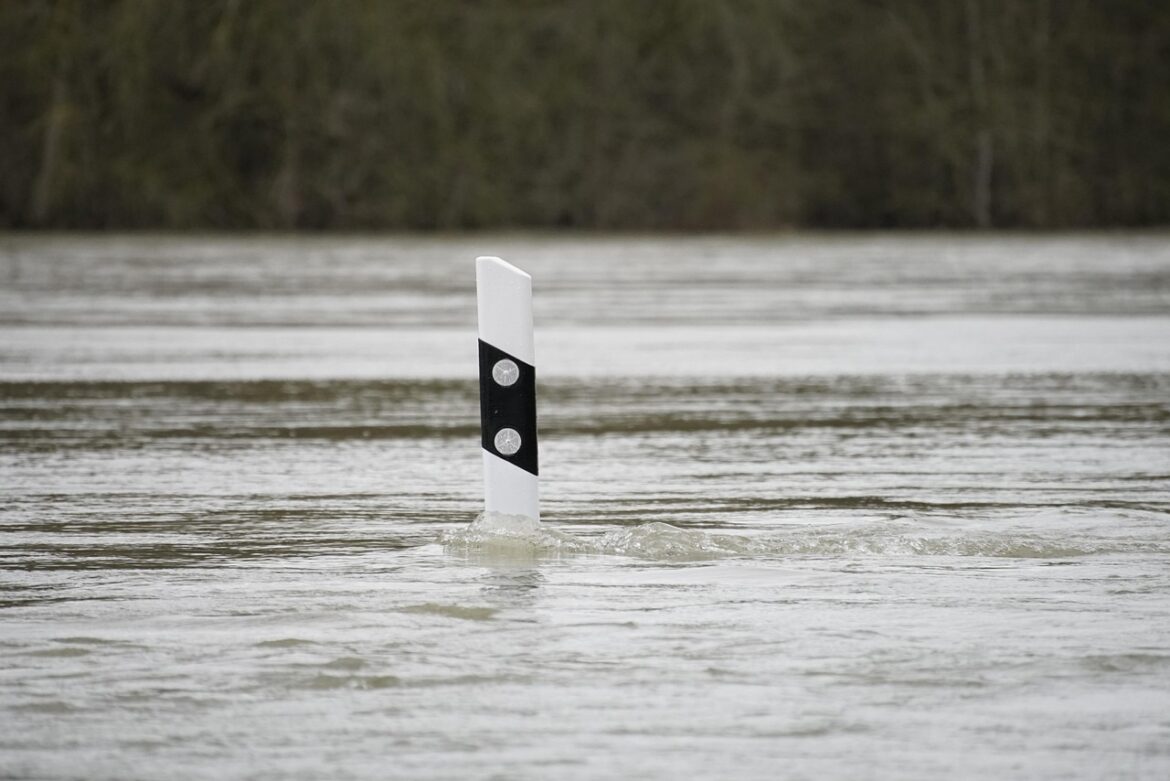 flood, water, pole, flooding, flooded, street, street pole, river, rhine, nature, flood, flood, flood, flood, flood, flooding, flooding