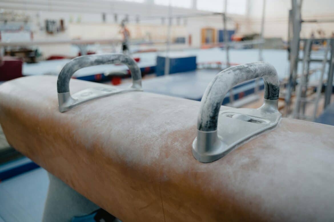 Close up of a pommel horse